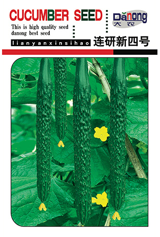连研新四号
