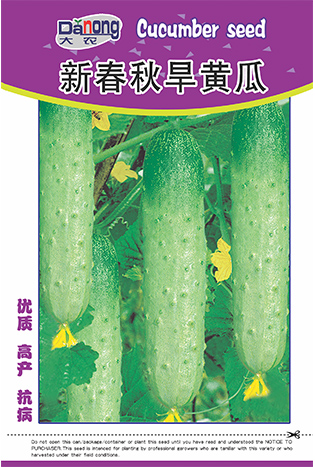 新春秋旱黄瓜