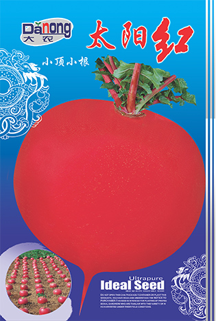 太阳红