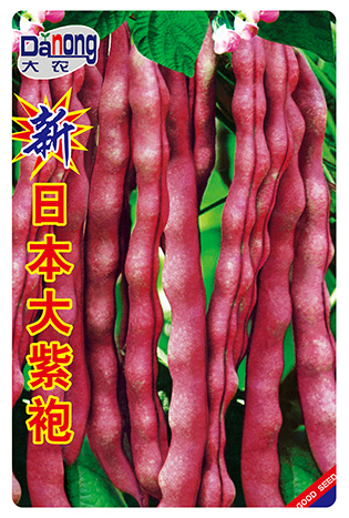 新日本大紫袍