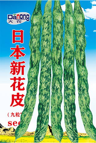 日本新花皮