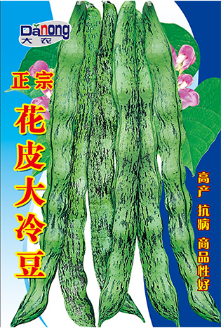 正宗花皮大冷豆