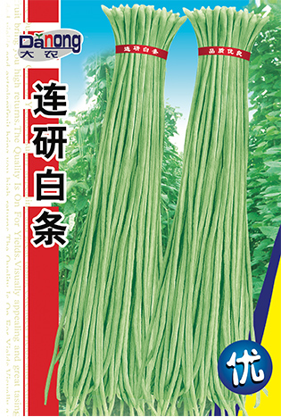 连研白条