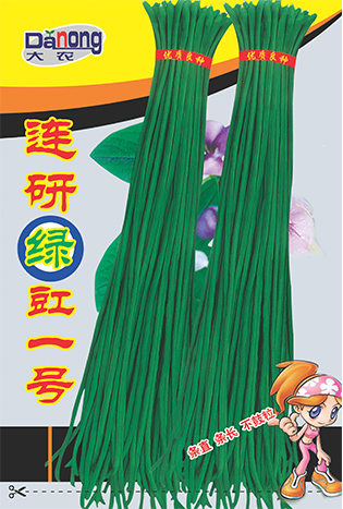 连研绿豇一号