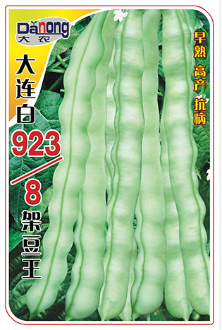 大连923/8架豆王