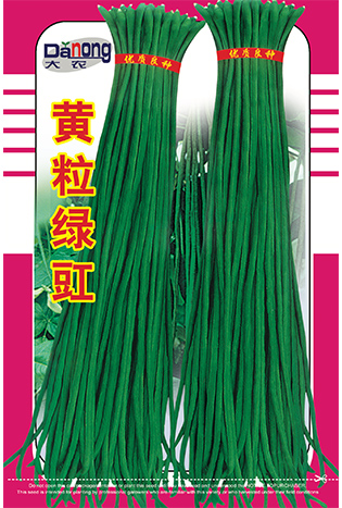 黄绿绿豇