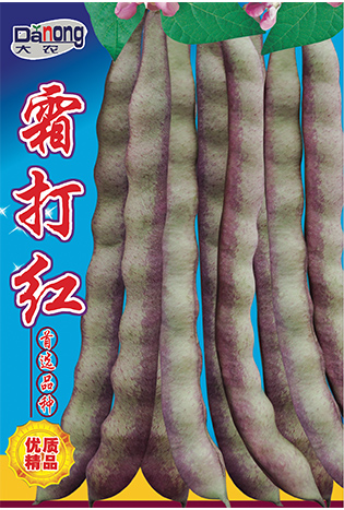 霜打红