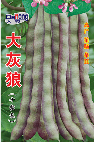 大灰狼（十粒长）