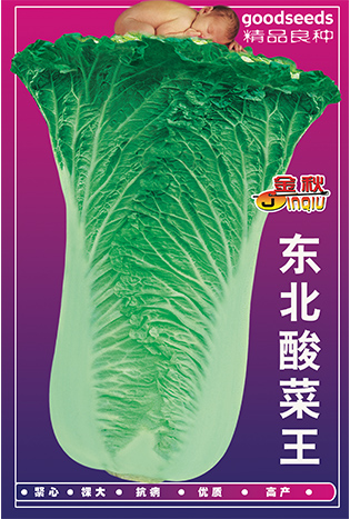 东北酸菜王