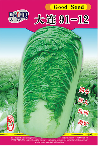 大连91-12